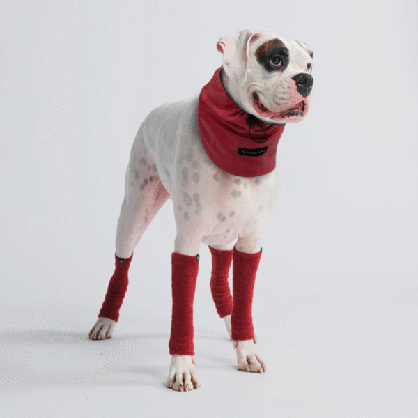 Stretchy Fleece Dog Leg Warmer Sleeves - Red - Image 3