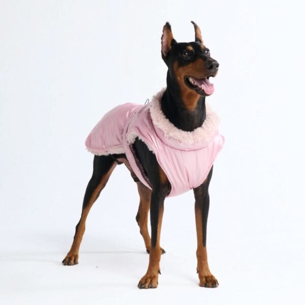 Slip-on Insulated Jacket - Metallic Pink - Image 5