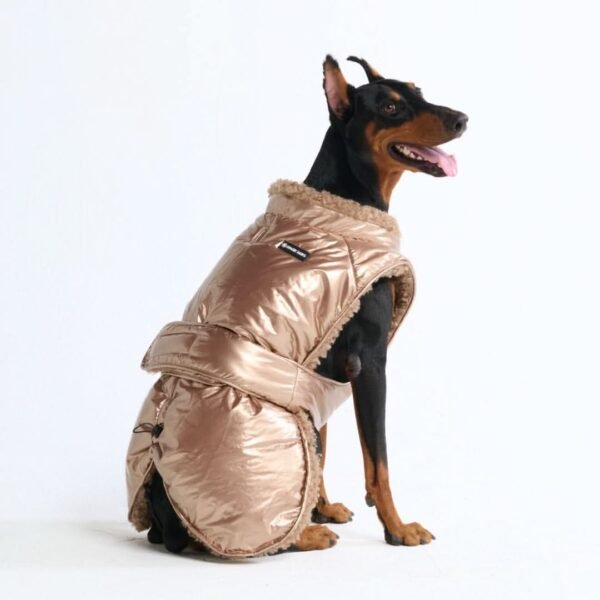 Slip-on Insulated Jacket - Metallic Gold - Image 5