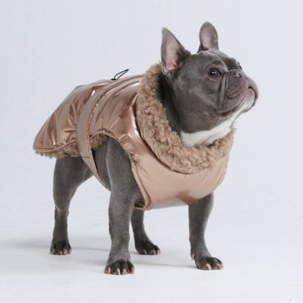 Slip-on Insulated Jacket - Metallic Gold - Image 3