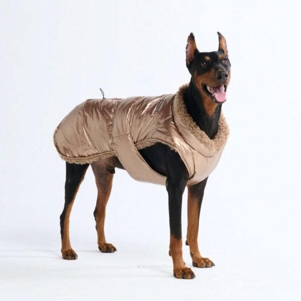 Slip-on Insulated Jacket - Metallic Gold - Image 4
