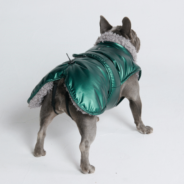 Slip-on Insulated Jacket - Metallic Green - Image 5