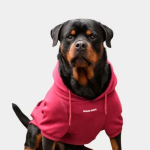 Dog Hoodie