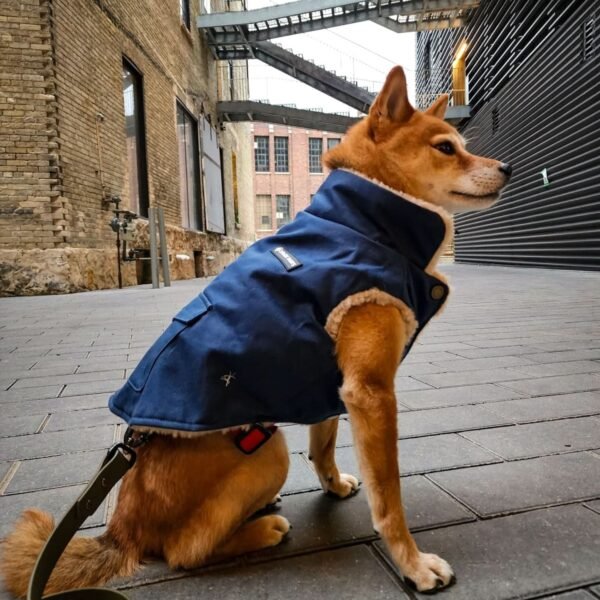 Workdog Insulated Utility Jacket - Navy - Image 2