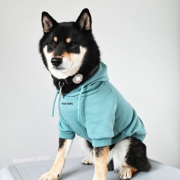 Essential Dog Hoodie - Teal - Image 2