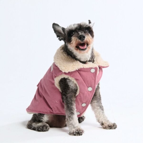 Corduroy Insulated Jacket - Pink - Image 3