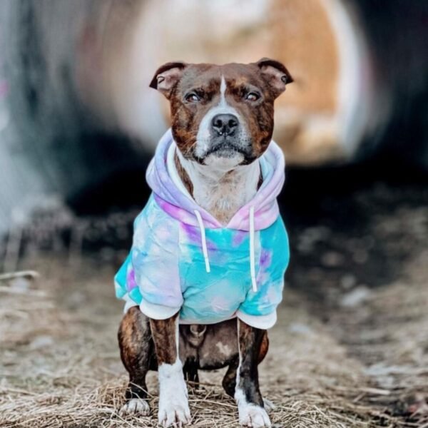 Velvet Dog Hoodie - 90s Retro - Image 6