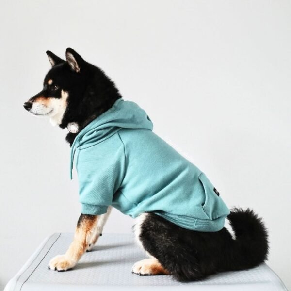 Essential Dog Hoodie - Teal - Image 4