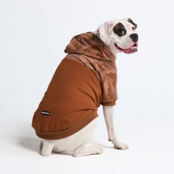 Desert Camo Dog Hoodie
