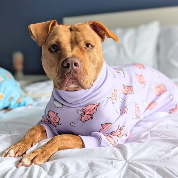 Dog Pajama - When Pigs Fly - Image 3