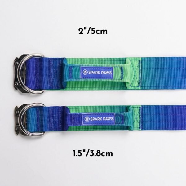 Comfort Control Collar Set - Lime Wave - Image 5