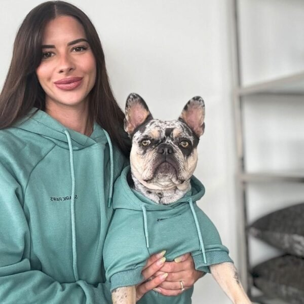 Essential Dog Hoodie - Teal - Image 5