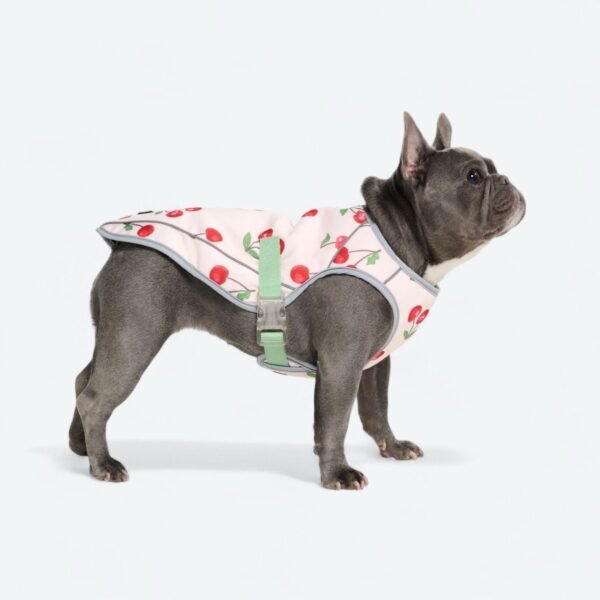 Dog Cooling Vest - Cherries - Image 2