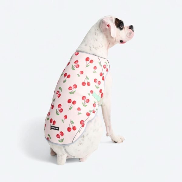 Dog Cooling Vest - Cherries - Image 3