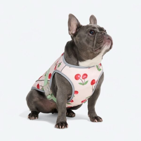 Dog Cooling Vest - Cherries - Image 4