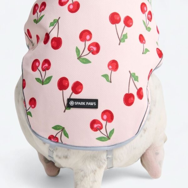 Dog Cooling Vest - Cherries - Image 5