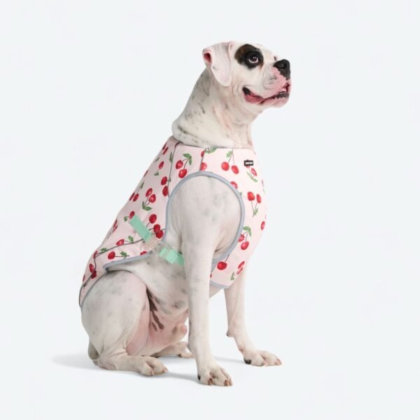 Dog Cooling Vest - Cherries - Image 6