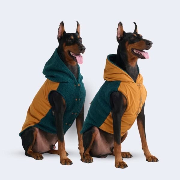 Reversible Jacket - Green and Orange - Image 3