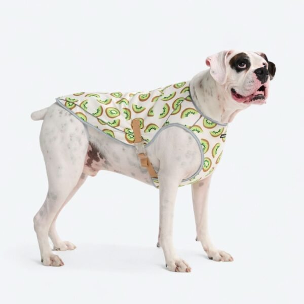 Dog Cooling Vest - Kiwi - Image 3