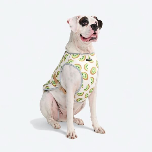 Dog Cooling Vest - Kiwi - Image 6