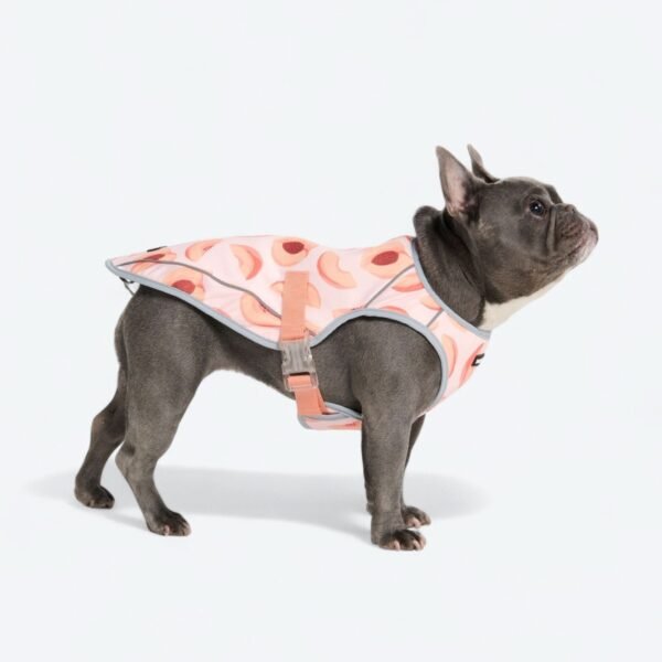 Dog Cooling Vest - Peaches - Image 3