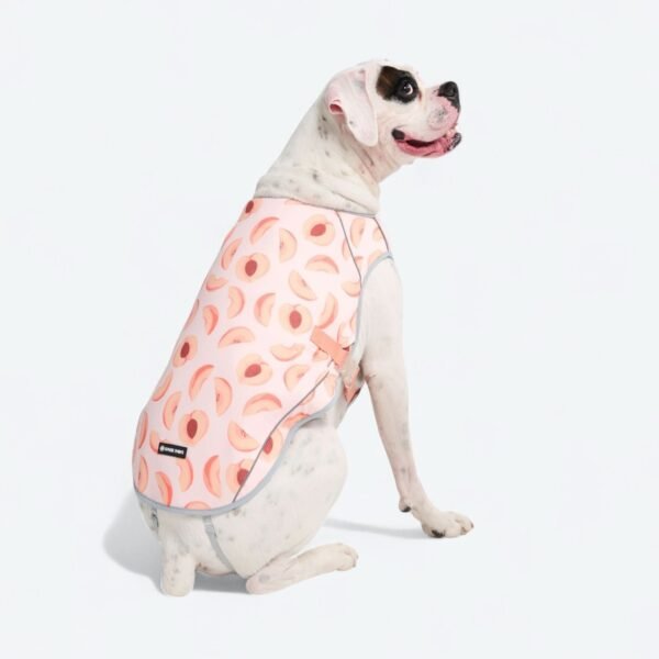 Dog Cooling Vest - Peaches - Image 4