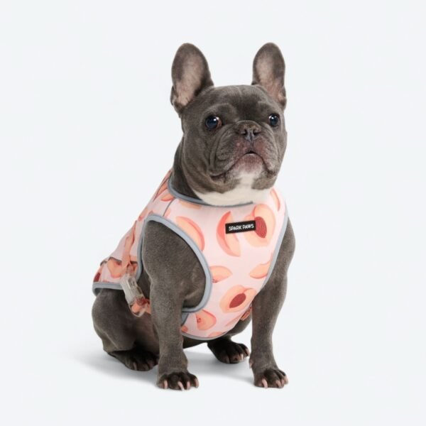 Dog Cooling Vest - Peaches - Image 5