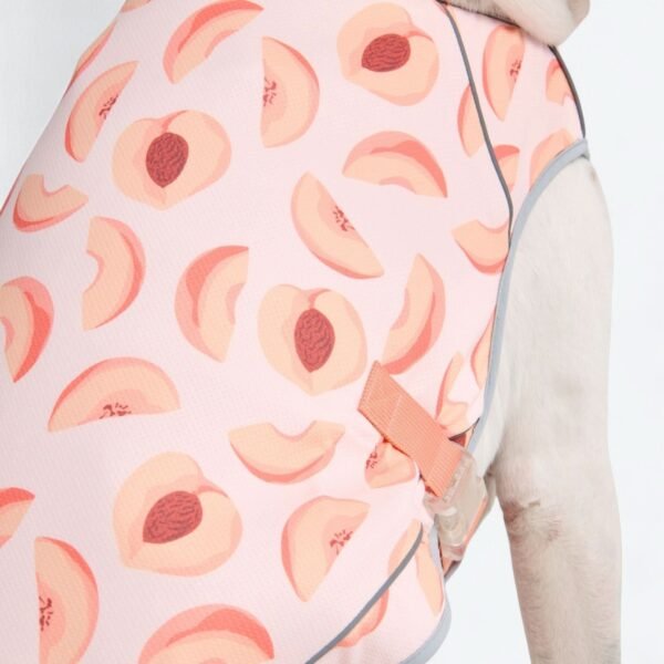 Dog Cooling Vest - Peaches - Image 6
