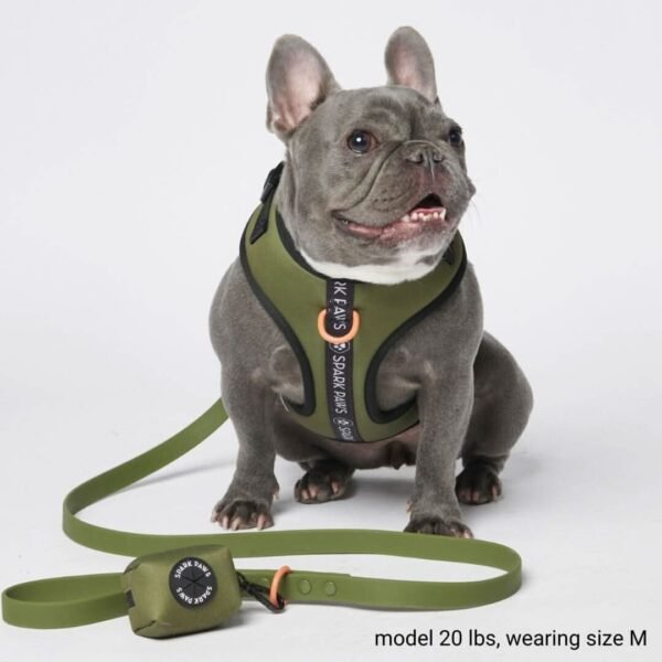 Waterproof PVC Dog Leash - Green - Image 2