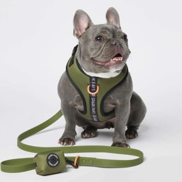 Ultra-Soft Activewear Harness Set - Green - Image 2