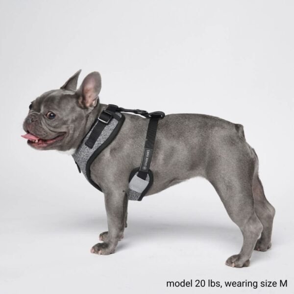 Ultra-Soft Activewear Harness - Grey - Image 5