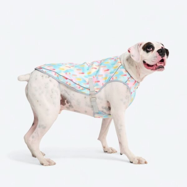 Dog Cooling Vest - Popsicles - Image 3