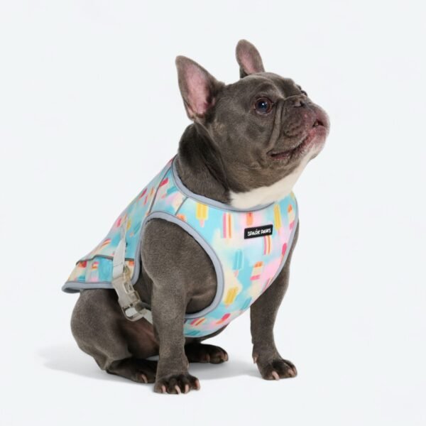 Dog Cooling Vest - Popsicles - Image 5