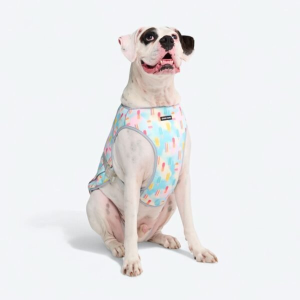 Dog Cooling Vest - Popsicles - Image 6