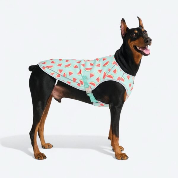 Dog Cooling Vest - Watermelon - Image 2