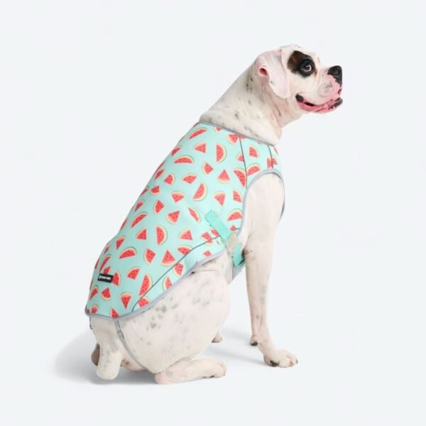 Dog Cooling Vest - Watermelon - Image 3