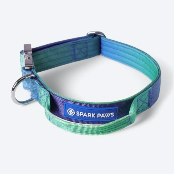 Comfort Control Collar Set - Lime Wave - Image 12