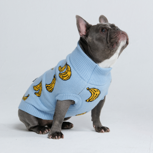 Banana Knit Dog Sweater - Image 4