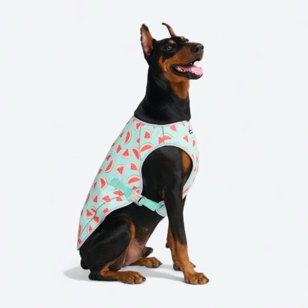 Dog Cooling Vest - Watermelon - Image 4