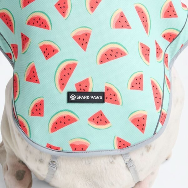 Dog Cooling Vest - Watermelon - Image 5