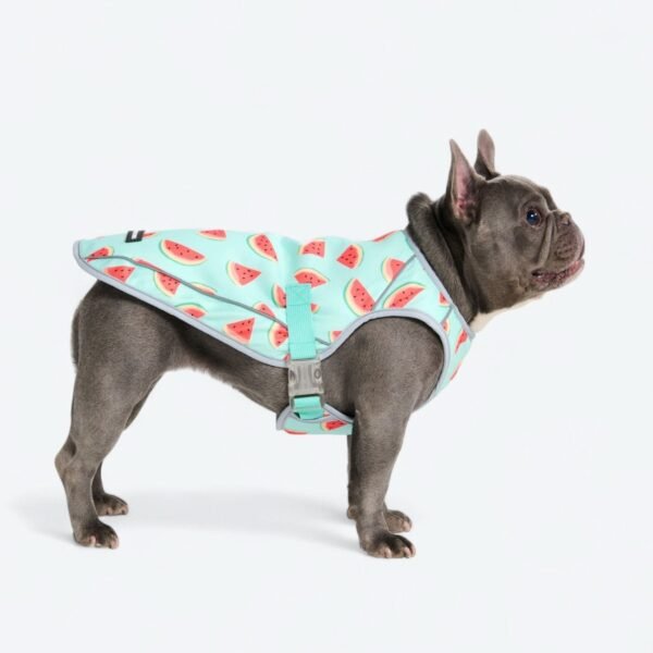 Dog Cooling Vest - Watermelon - Image 7