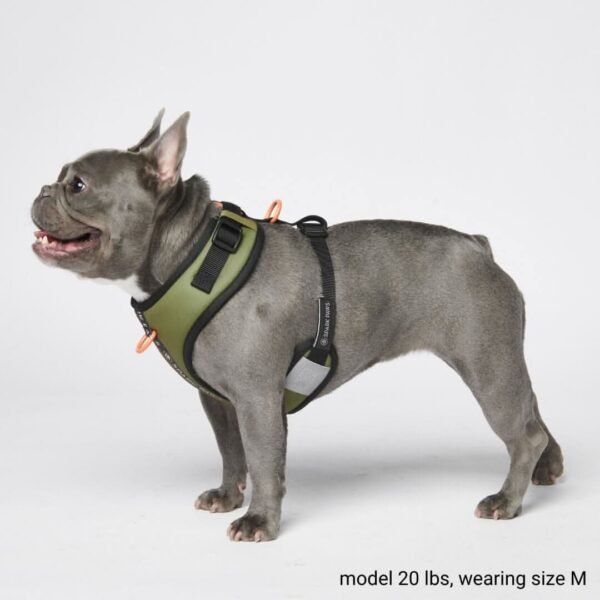 Ultra-Soft Activewear Harness Set - Green - Image 6