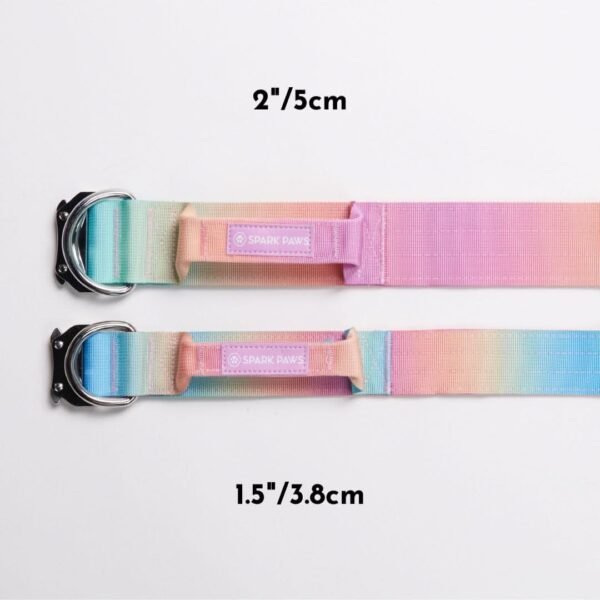 Comfort Control Collar Set - Pastel Icing - Image 5