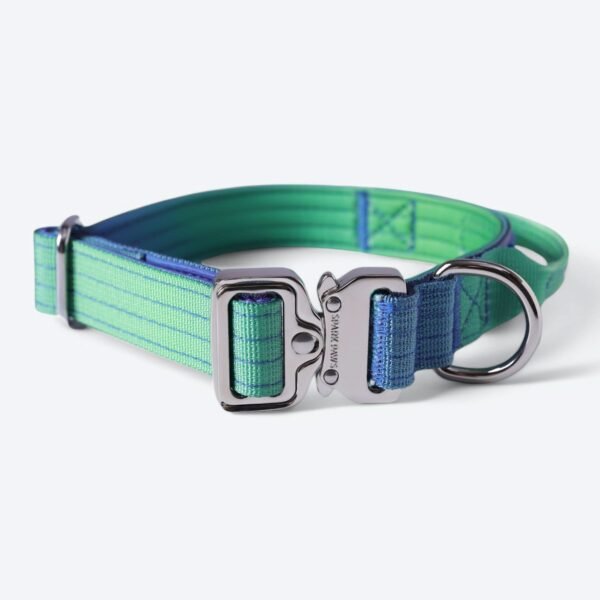 Comfort Control Collar Set - Lime Wave - Image 11