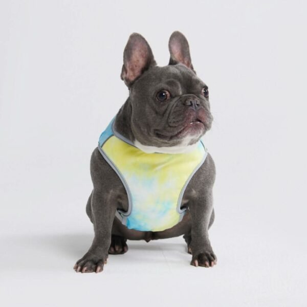 Dog Cooling Vest - Tropical Storm - Image 6