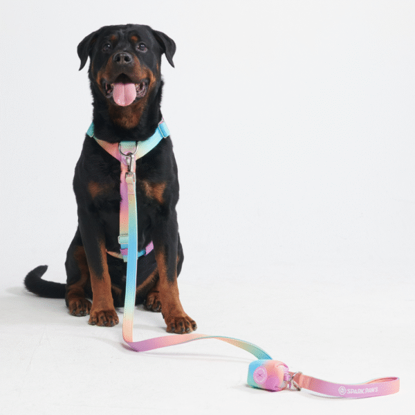 Comfort Control No-Pull Dog Harness Set - Pastel Icing - Image 5