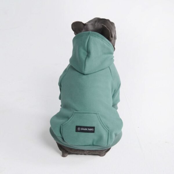 Essential Dog Hoodie - Teal - Image 9