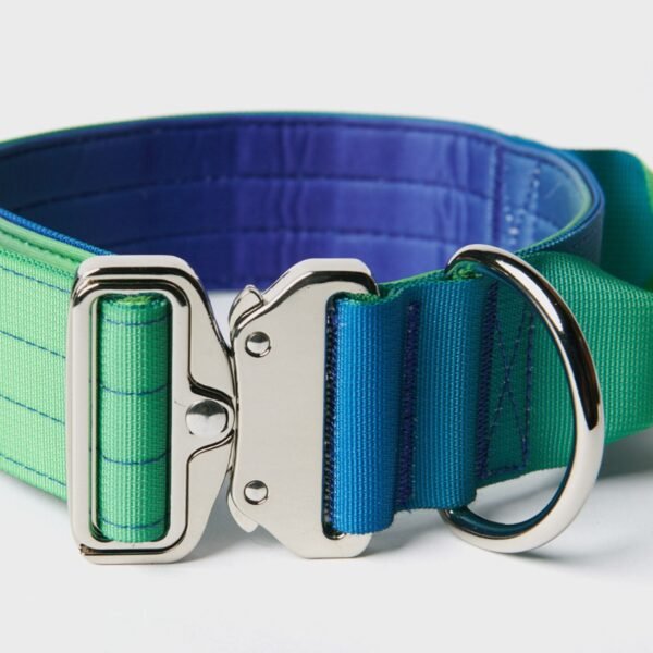 Comfort Control Collar Set - Lime Wave - Image 9