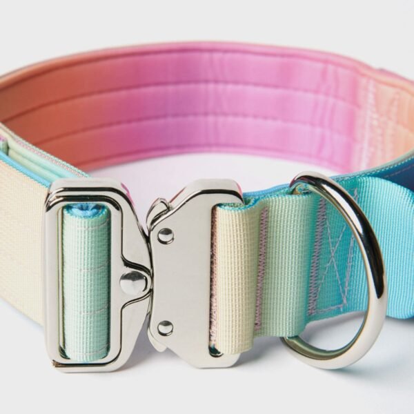 Comfort Control Collar Set - Pastel Icing - Image 7