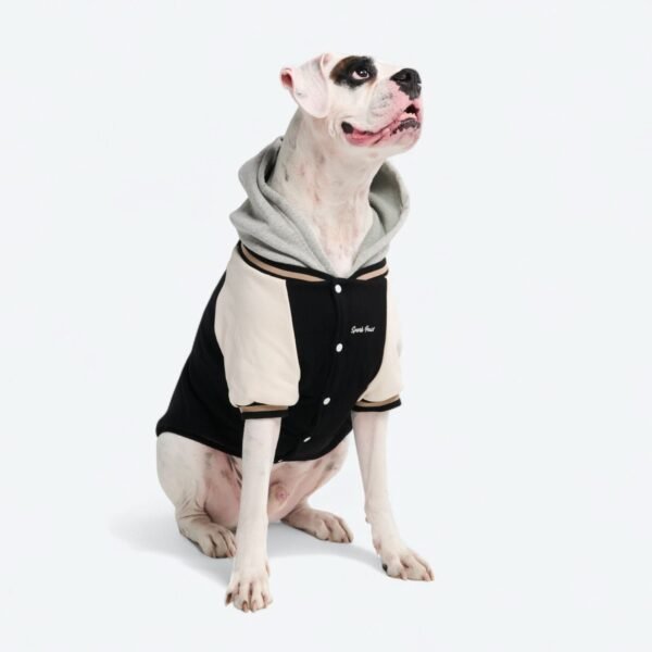 Dog Varsity Jacket - Black - Image 3